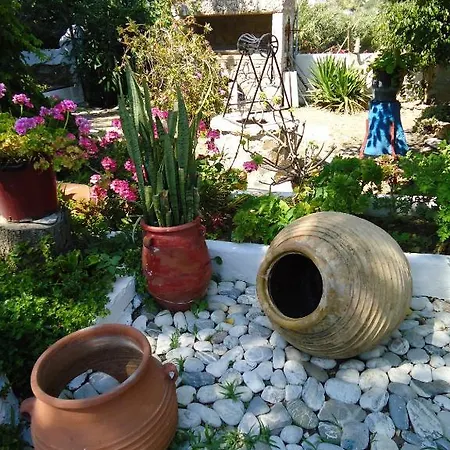 Sofia Amorgos-katapola 2*